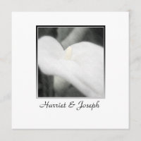 Blanc Calla Lily Mariage Élégant Enregistrer La Da