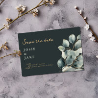 Branche Eucalyptus jolies feuilles enregistrer la