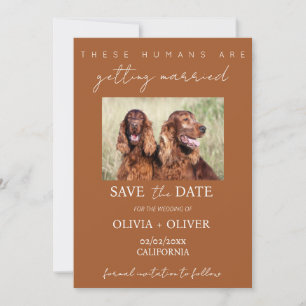 Save The Date Budget, minimaliste, photo de chien personnalisée