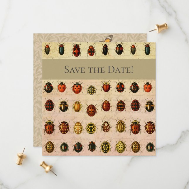 Save The Date Bug d'insectes coccinelle de coccinelle (Devant/Arrière en situation)