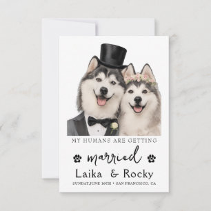 Save The Date Carton d'invitation au mariage d'un chien drôle