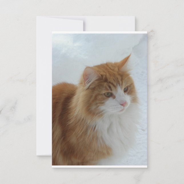 Save The Date Chat des forêts norvégiennes (Devant)