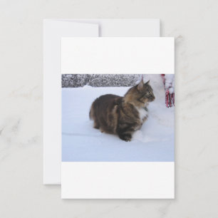 Save The Date chat des forêts norvégiennes dans la neige