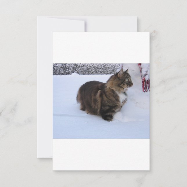 Save The Date chat des forêts norvégiennes dans la neige (Devant)
