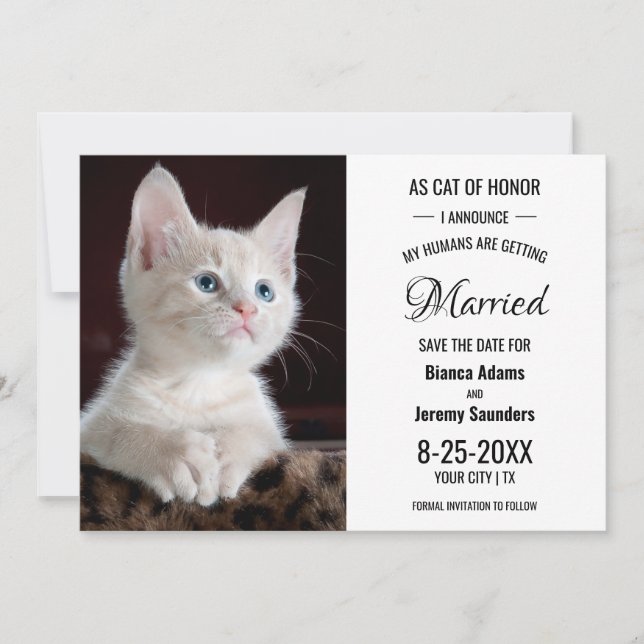 Save The Date Chat d'honneur Animaux de compagnie Photo Mariage  (Devant)