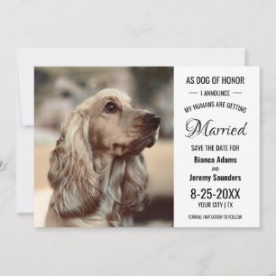 Save The Date Chien d'honneur Animal de compagnie Photo Mariage