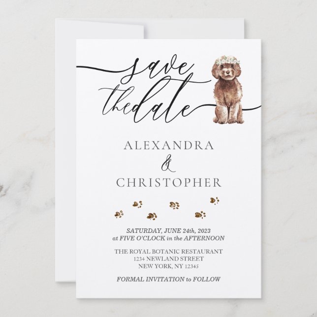Save The Date chiot Cavapoo marron écriture calligraphique de ma (Devant)