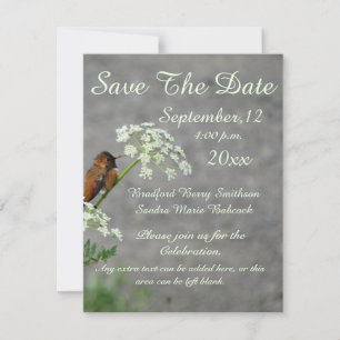 Save The Date Colibri et fleur de dentelle de la reine Ann