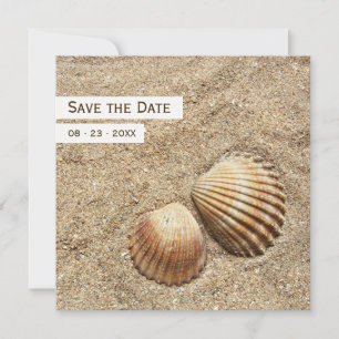 Save The Date Coquillages - Annonce de sauvegarde de la date