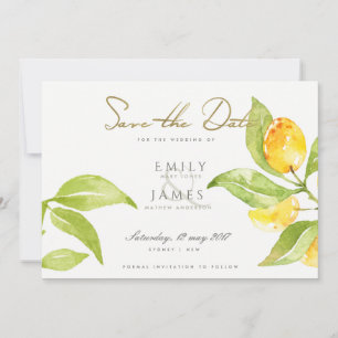 SAVE THE DATE COULEUR D'EAU VERTE FOLIAGE OLIVE SAUVER LA DATE