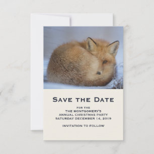 Save The Date Cute Little Fox Curling Up Winter Photo
