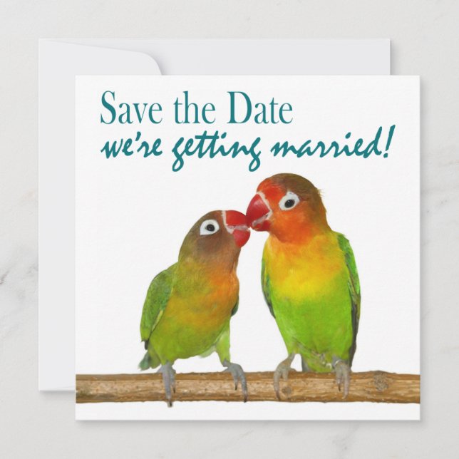 Save The Date Cute Parrot Inséparables Tropical Enregistrer la d (Devant)