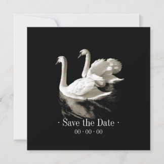 Save The Date Cygnes romantiques - Annonce de sauvegarde de la d