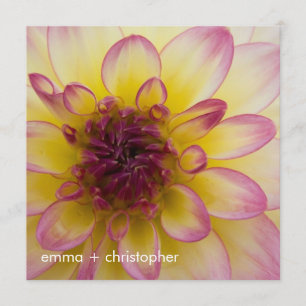 Save The Date Dahlia bordeaux, jaune et blanc