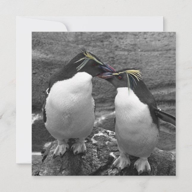 Save The Date Éclaboussure de couleur de pingouin (Devant)