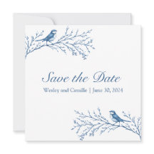 Elegant Bluejays sur une branche