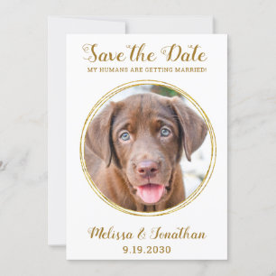 Save The Date Elegant Chic Gold Custom Pet Photo Chien Mariage