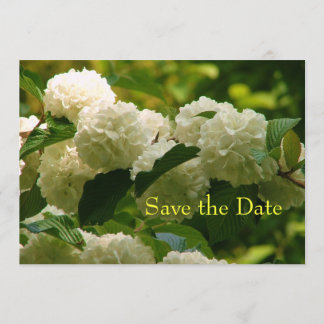 Save The Date Enregistrer la date