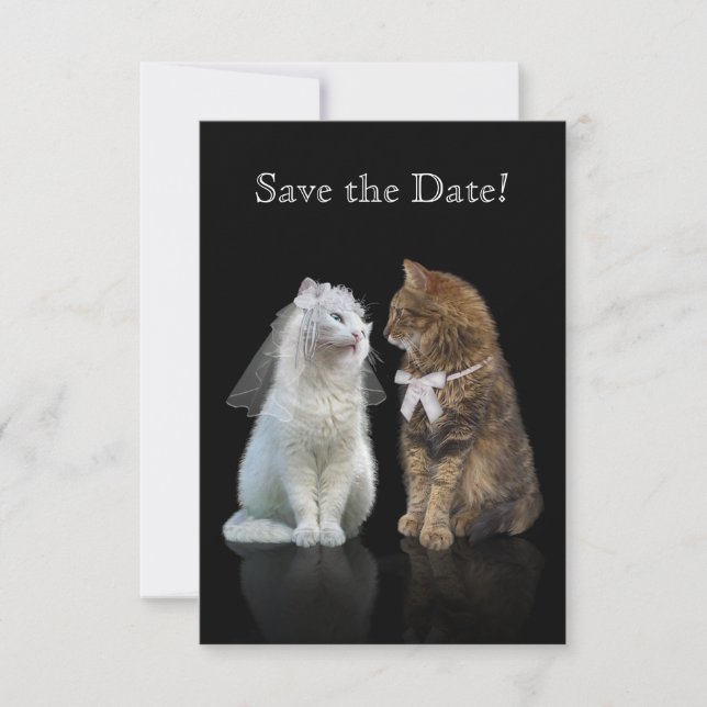 Save The Date Enregistrez la date de notre journée Purr-fect ! (Devant)