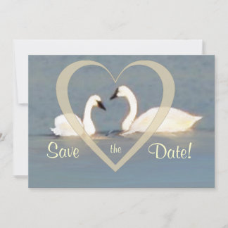 Save The Date Faire annonce de sauvegarde de date par des cygnes
