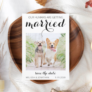 Save The Date Fiançailles Photo Animaux Modernes Chien Mariage S