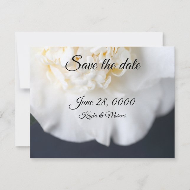 Save The Date Fleur de camélia blanc (Devant)