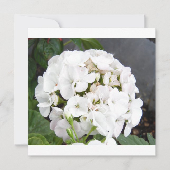 Save The Date Fleurs Blanches Étincelantes Mariage (Devant)