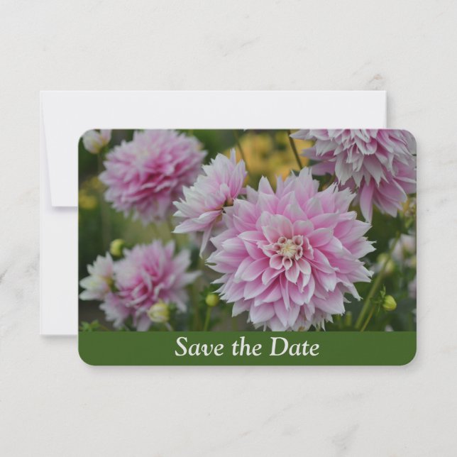Save The Date Fleurs Dahlia roses au Jardin RHS Anniversaire sur (Devant)