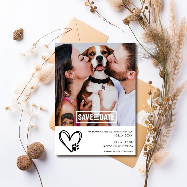 Save The Date Funny Chien 2 Mariage photo (Funny Dog 2 Photo Wedding Save The Date)