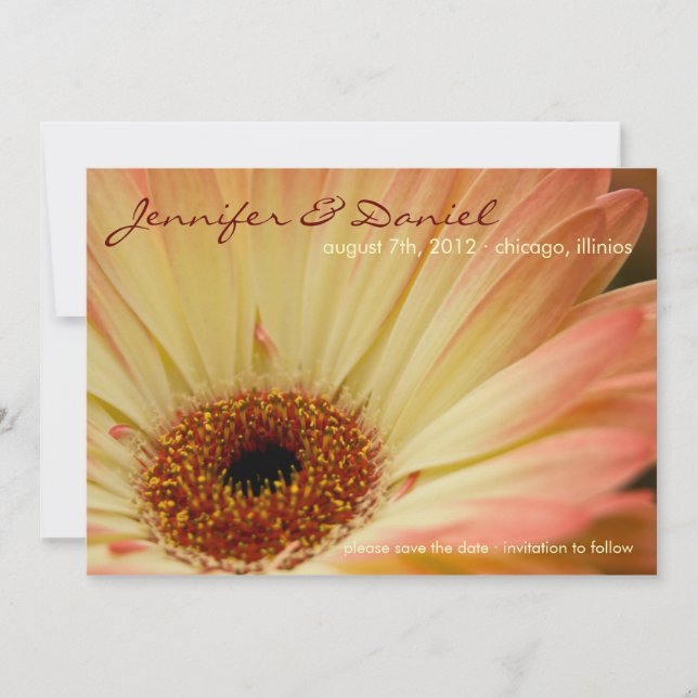 Save The Date Gerbera abricot • Annonce de sauvegarde de la date (Devant)