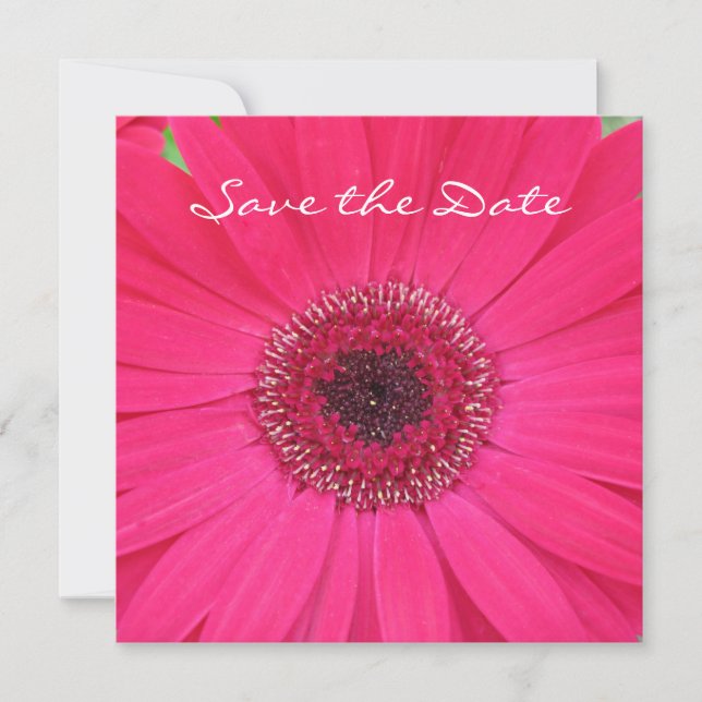 Save The Date Hot rose Gerbera Daisy Enregistrer la date Invitat (Devant)