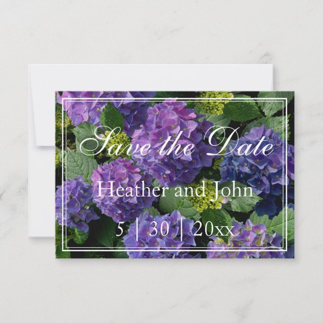 Save The Date Hydrangeas bigarrés de bleu pourpre sauvages (Devant)