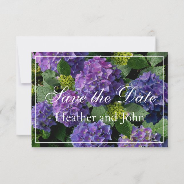 Save The Date Hydrangeas bleu-violet pansy (Devant)