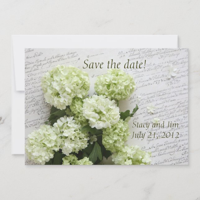 Save The Date hydrangées blanches avec script enregistrer la dat (Devant)