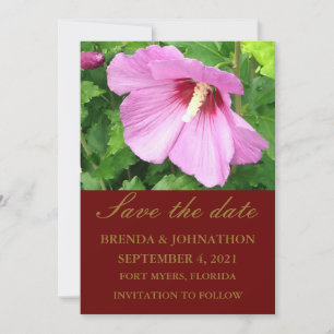 Save The Date Jolie rose rose de Sharon Photo