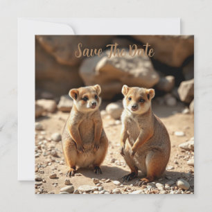 Save The Date Jumeaux Quokka australiens