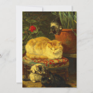 Save The Date Les chatons en jeu
