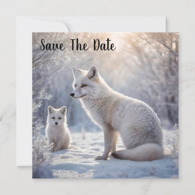 Save The Date "Les obligations décongelées : le renard arctique  (Devant)
