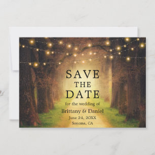 Save The Date Lumières de mariage de chemin forestier rustique e