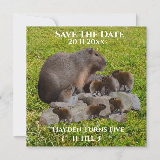 Save The Date Maman Et Bébé Capybaras, Enregistrer La Date (Devant)