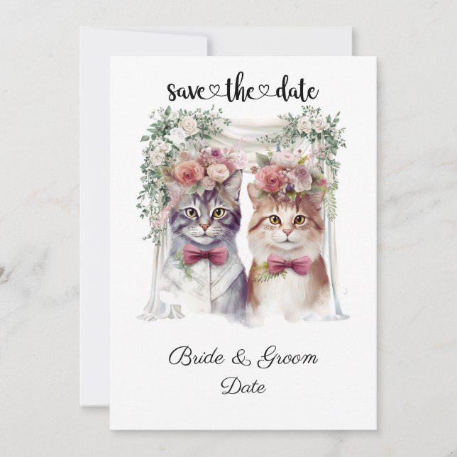 Save The Date Mariage de chat avec mariée et chambre (Devant)