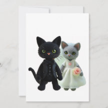 Mariage de chats