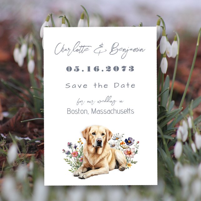 Save The Date Mariage de chien de laboratoire jaune Enregistrer  (Créateur téléchargé)