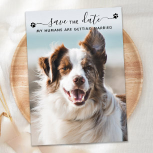 Save The Date Mariage de chien personnalisé Photo de animal de c