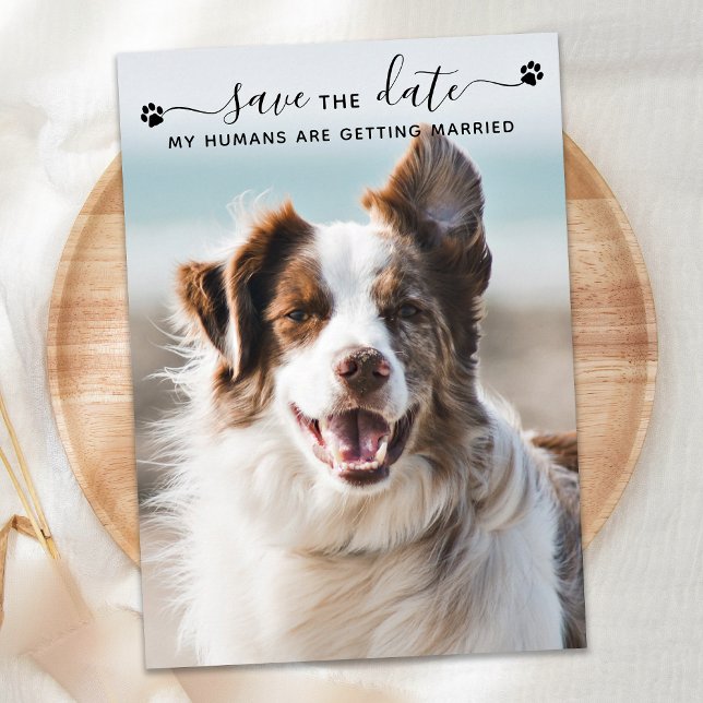 Save The Date Mariage de chien personnalisé Photo de animal de c (Créateur téléchargé)