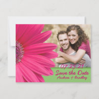 Mariage photo vert rose Gerbera Daisy