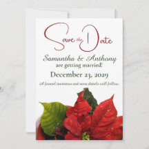 Mariage Red Poinsettia