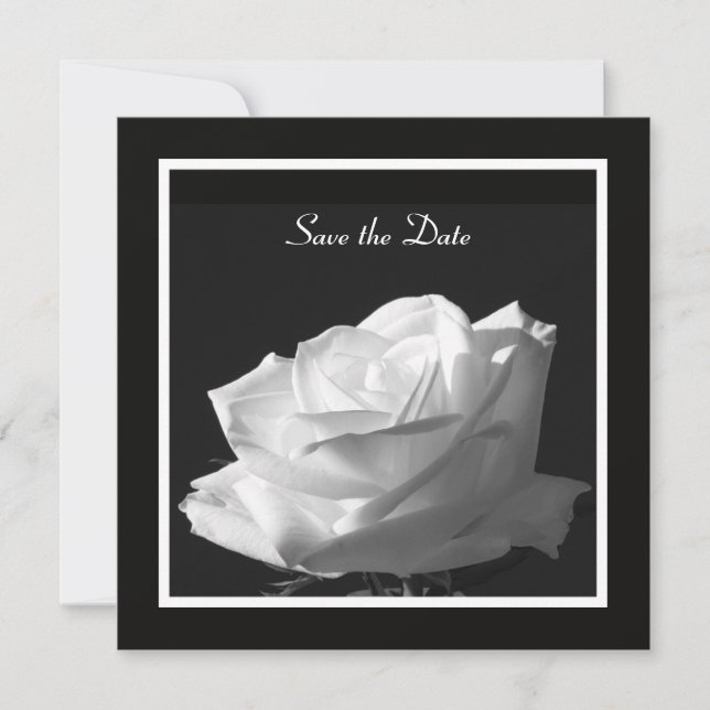 Save The Date Mariage Rose blanche Enregistrer la date Invitatio (Devant)