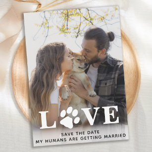 Save The Date Mes humains deviennent Mariages de chiens mariés
