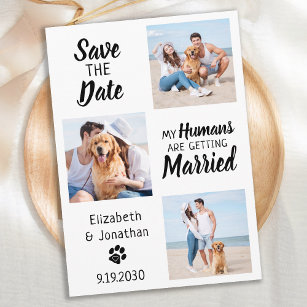 Save The Date Mes humains se marient Chien Mariage Photo